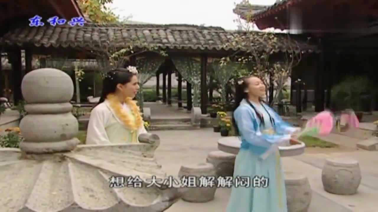 劉伯溫白小姐一肖期期準(zhǔn)，神秘預(yù)測背后的真相，劉伯溫白小姐生肖預(yù)測揭秘，神秘預(yù)測背后的真相
