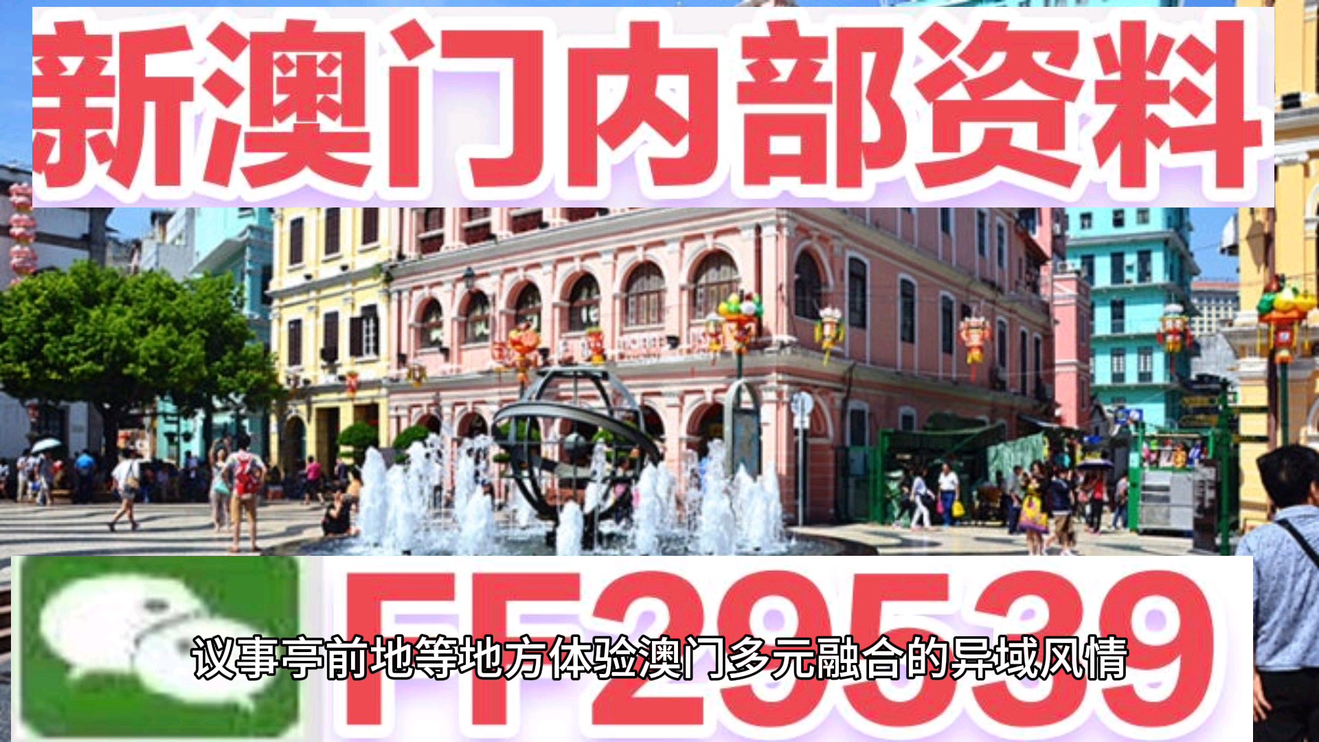 澳門今晚必開一肖一特，揭秘生肖彩票的魅力與策略，澳門生肖彩票揭秘，必開一肖一特的魅力與策略
