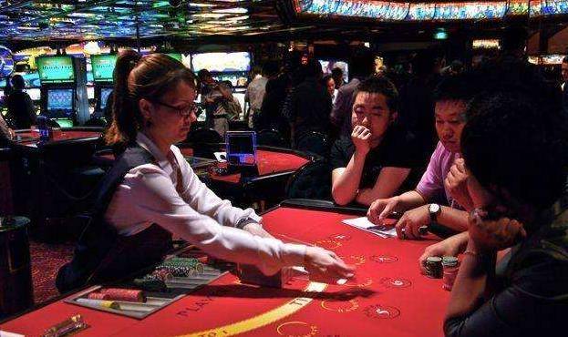 澳門金牛王中王一肖，探索背后的神秘與魅力，澳門金牛王中王一肖，神秘魅力背后的探索