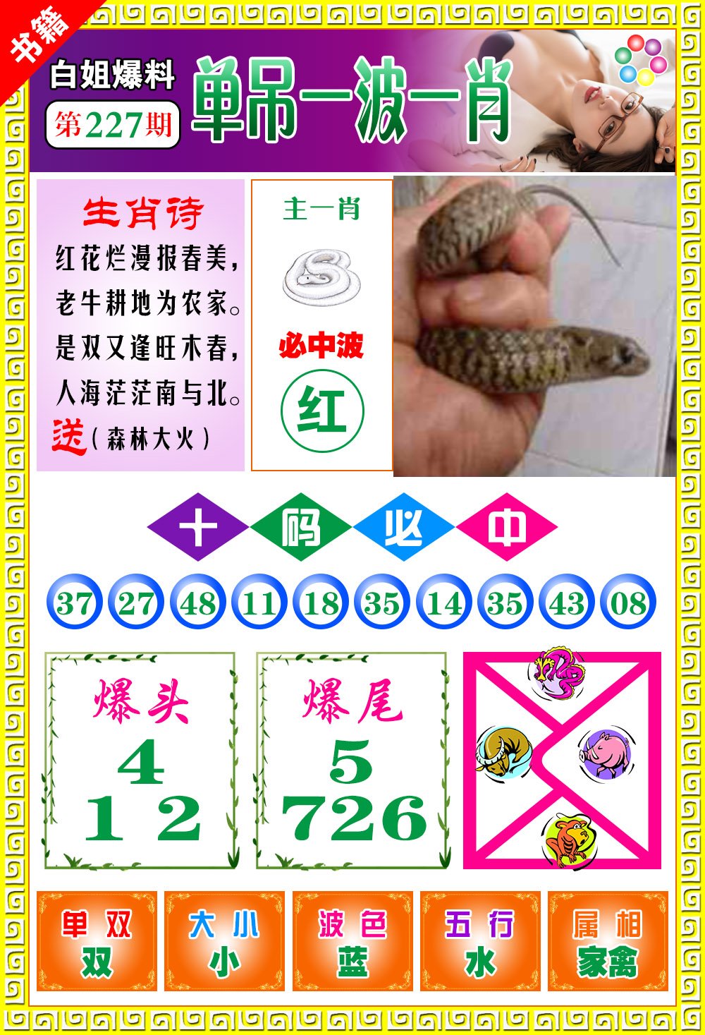 王中王免費(fèi)一肖開獎，揭秘彩票背后的秘密，揭秘彩票背后的秘密，王中王免費(fèi)一肖開獎探秘