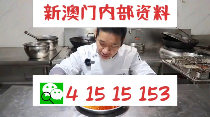 管家婆一肖資料大全，深度解析與探索，管家婆一肖資料深度解析與探索大全