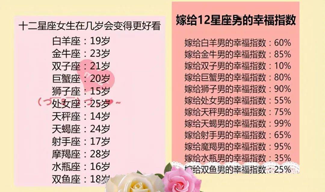 王中王十二生肖所屬之肖解析，王中王十二生肖解析揭秘