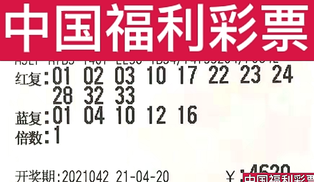 新奧門今晚開獎結(jié)果查詢第243期，全面解析與預(yù)測，新奧門第243期開獎結(jié)果解析與預(yù)測，今晚開獎揭秘