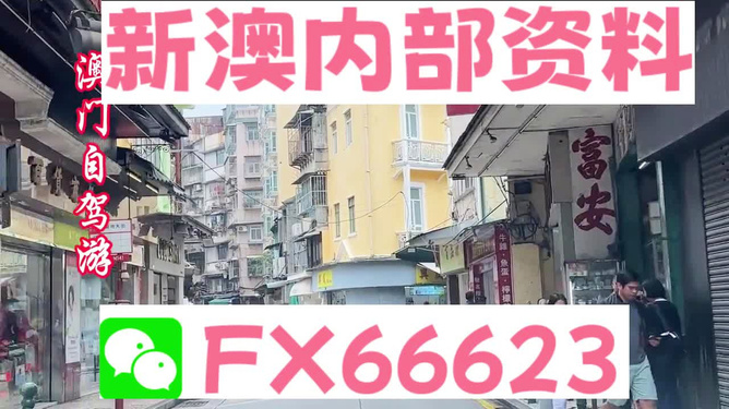 新澳精準資料免費提供，探索與實踐的指南，新澳精準資料免費分享，探索與實踐的導航指南