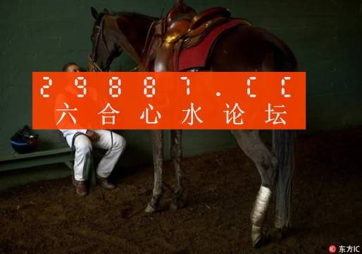 一肖一馬王中王一馬中特，深度解析與SEO優(yōu)化策略，一肖一馬王中王深度解析與SEO優(yōu)化策略探討