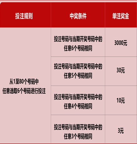 新澳門六開彩天天免費(fèi)開獎結(jié)果，揭秘彩票背后的秘密，揭秘新澳門六開彩背后的秘密，天天免費(fèi)開獎結(jié)果一網(wǎng)打盡