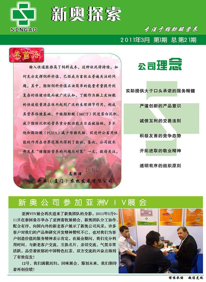 2025新澳正版資料精準(zhǔn)解析，2025新澳正版資料精準(zhǔn)解析手冊