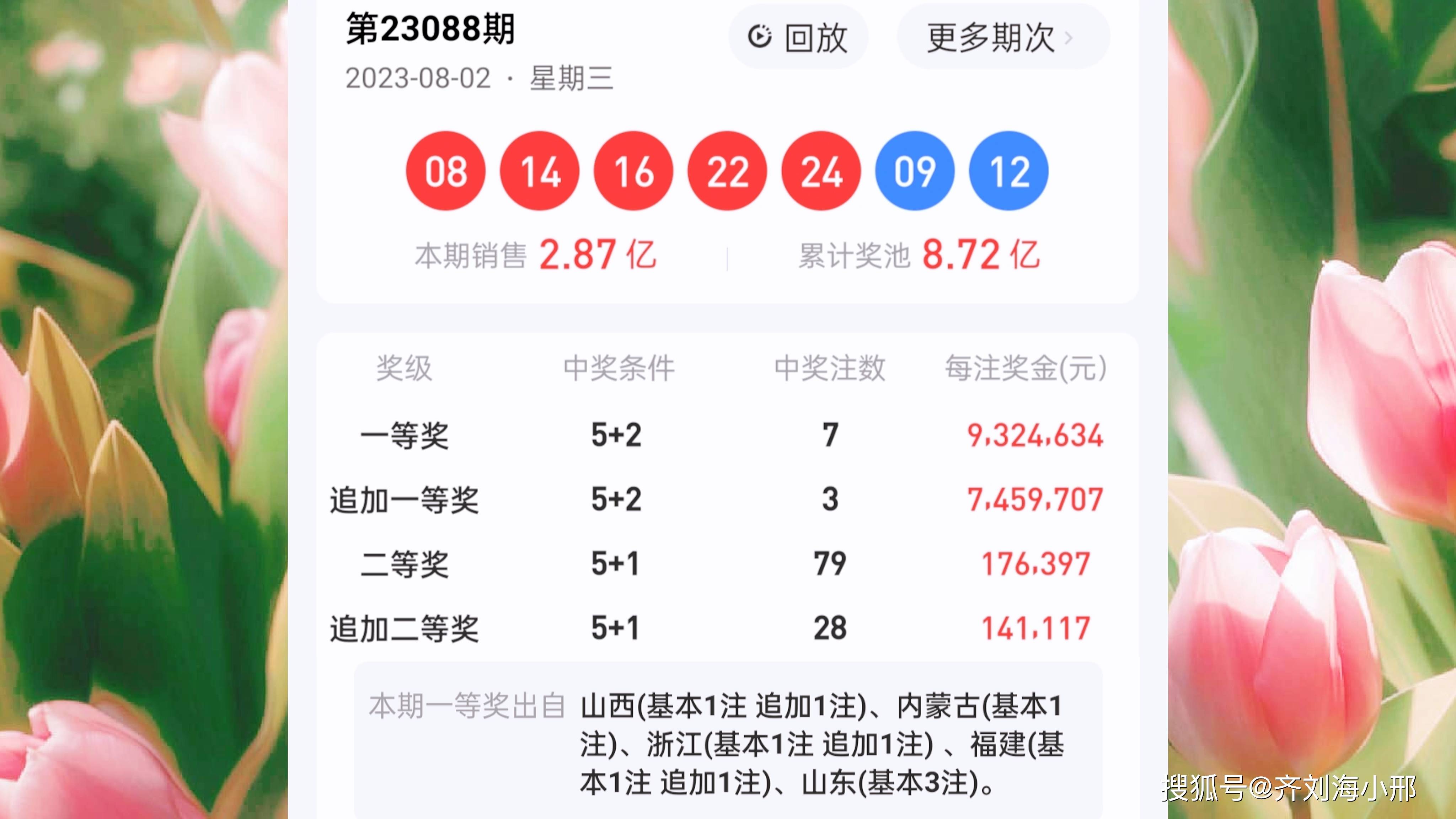 最新開(kāi)獎(jiǎng)結(jié)果揭曉，王中王與一肖中的幸運(yùn)時(shí)刻，王中王與一肖中幸運(yùn)時(shí)刻揭曉，最新開(kāi)獎(jiǎng)結(jié)果出爐