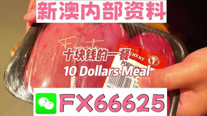 揭秘2025新奧精準(zhǔn)正版資料，全方位解讀與SEO優(yōu)化策略，揭秘2025新奧精準(zhǔn)正版資料，全方位解讀與SEO策略優(yōu)化指南