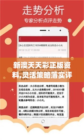 新澳天天開彩期期精準，揭秘彩票預測背后的秘密，揭秘彩票預測真相，新澳天天開彩期期精準之奧秘