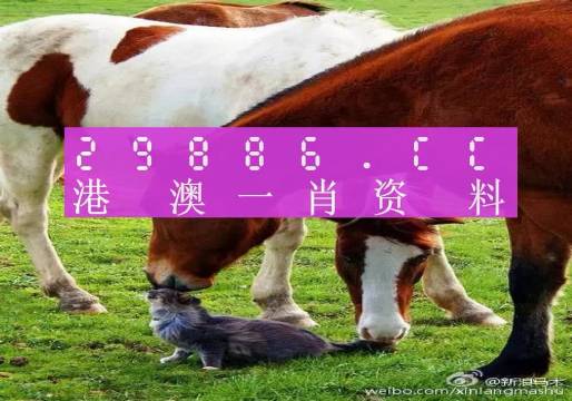 新奧門一肖一碼，揭秘精準(zhǔn)預(yù)測的秘密，揭秘新澳門一肖一碼精準(zhǔn)預(yù)測的秘密