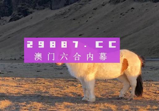 澳門彩六開獎(jiǎng)結(jié)果第52期，深度解析與預(yù)測分析，澳門彩六第52期開獎(jiǎng)結(jié)果深度解析與預(yù)測分析