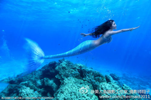 澳門美人魚最快開獎結(jié)果圖——揭秘熱門彩票游戲背后的秘密，澳門美人魚彩票開獎揭秘，最新結(jié)果圖與游戲背后秘密探索