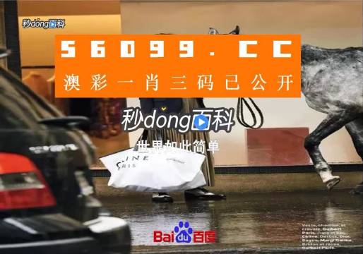 新澳一碼三中三資料，探索與解析，新澳一碼三中三資料解析與探索