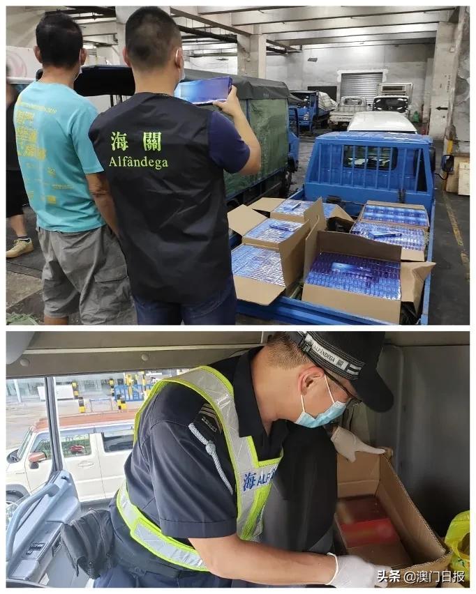 澳門今晚必開一肖080，揭秘生肖運勢與預測之謎，澳門今晚必開一肖揭秘，生肖運勢預測之謎開啟！