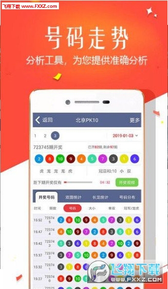 王中王四肖選一，揭秘選擇與優(yōu)化策略，王中王四肖選一，選擇與優(yōu)化策略的揭秘