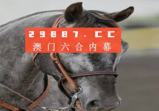 澳門一一碼一特一中準選今晚，探索真實有效的選擇與策略，澳門今晚一特一中準選碼，真實有效的選擇與策略探索
