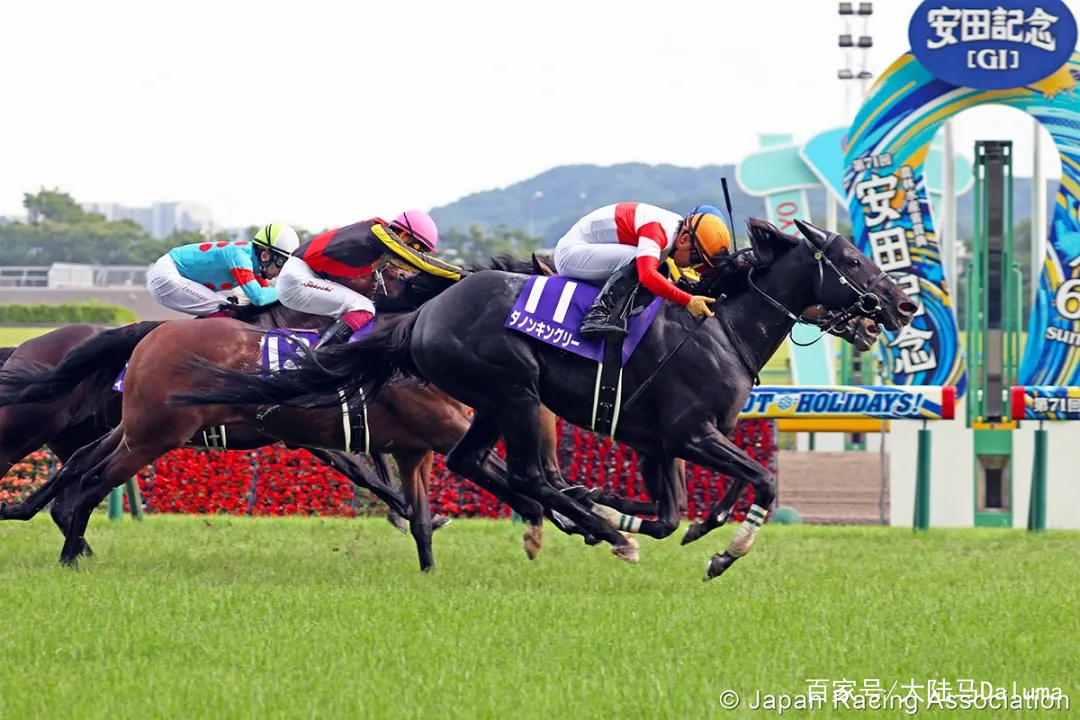 香港王中王與一馬中特肖的獨特魅力，深度解析與探索，香港王中王與一馬中特肖的獨特魅力，深度探索與解析