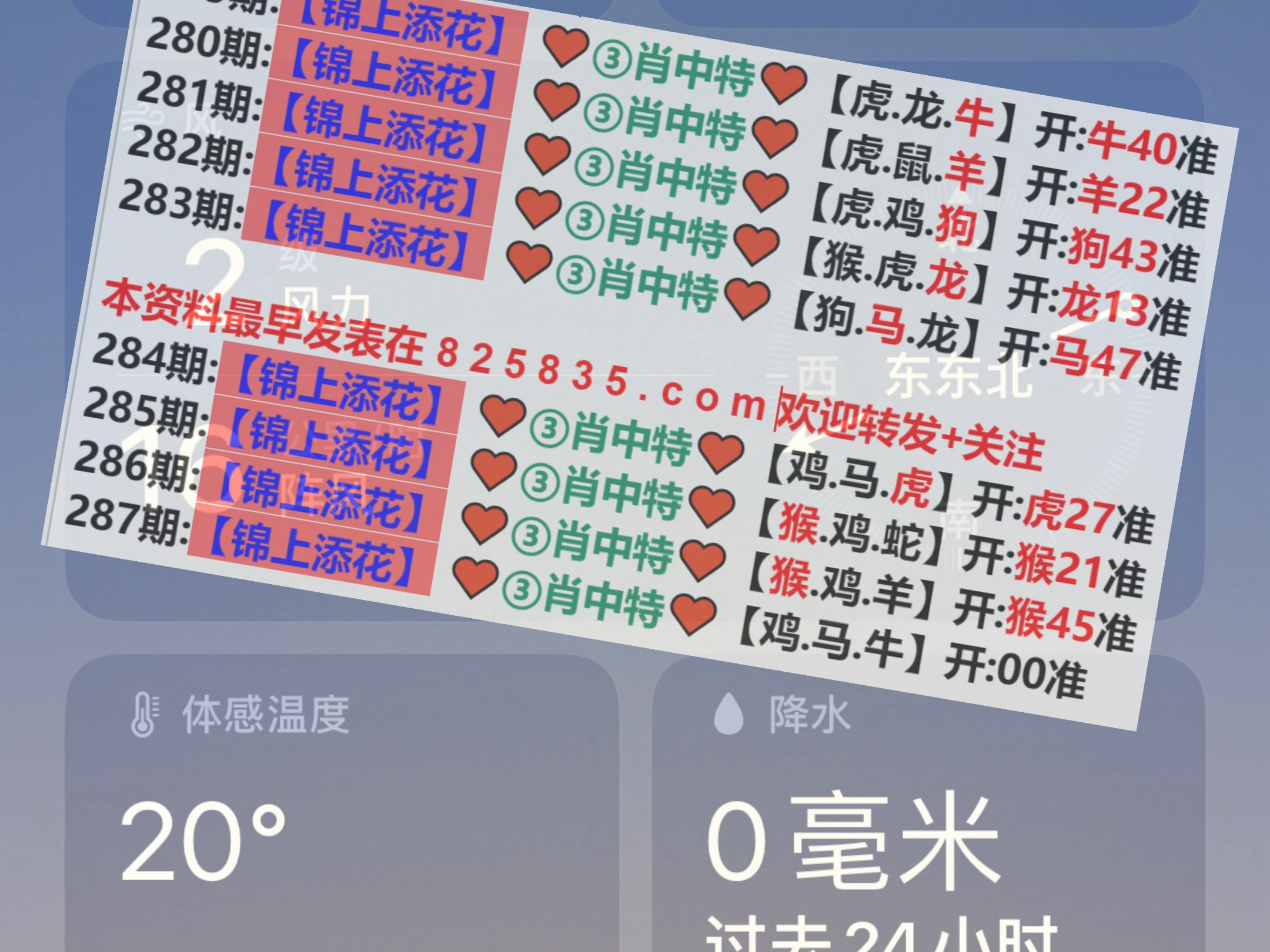 新澳2025年精準(zhǔn)一肖一碼，揭秘預(yù)測背后的秘密，揭秘新澳2025年精準(zhǔn)一肖一碼預(yù)測背后的秘密