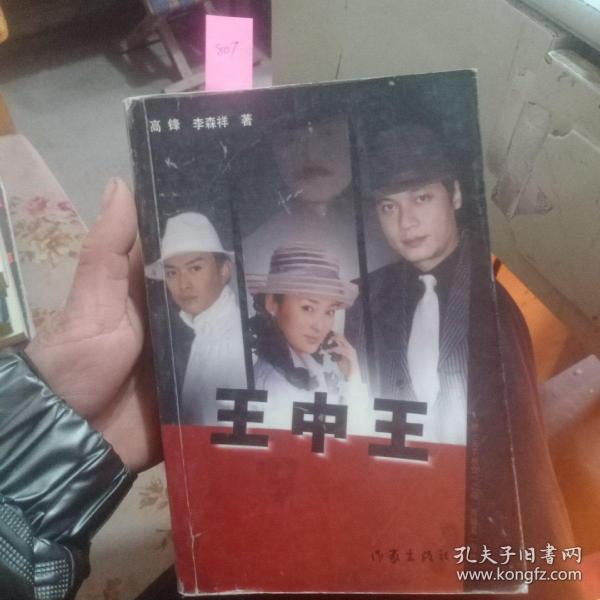 王中王資料一肖中天，深度解析與探索，王中王資料一肖中天，深度剖析與探索