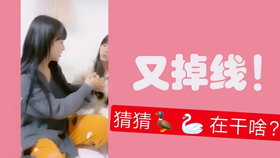 王中王欲錢詩(shī)猜一肖，王中王欲錢詩(shī)暗示的生肖之謎