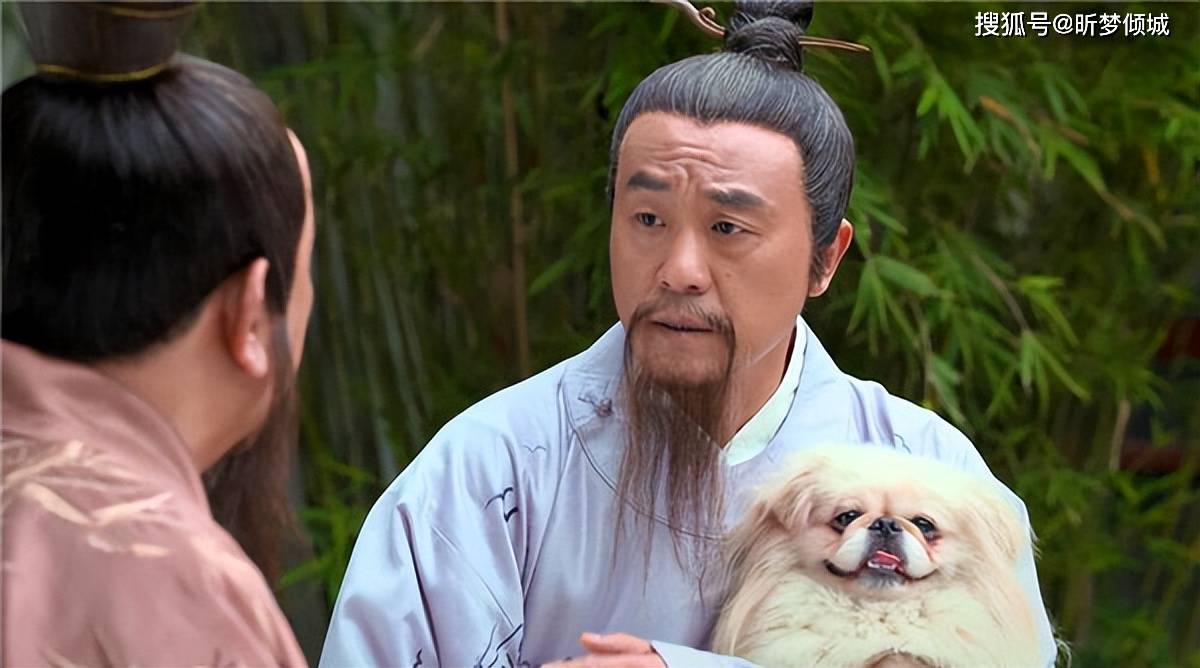 揭秘劉伯溫四不象一肖的神秘面紗——探尋背后的傳奇故事，揭秘劉伯溫四不象一肖背后的傳奇故事，神秘面紗下的神秘傳說