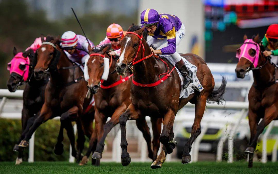 香港賽馬，探索賽馬運(yùn)動(dòng)的激情與榮耀之地——7777788888的獨(dú)特魅力，香港賽馬，激情與榮耀的獨(dú)特魅力探索——777778賽馬運(yùn)動(dòng)之地