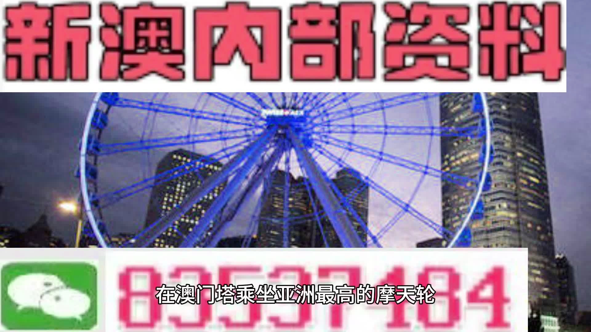 新澳門期期準，探索澳門的獨特魅力與未來發(fā)展，澳門獨特魅力與未來發(fā)展探索