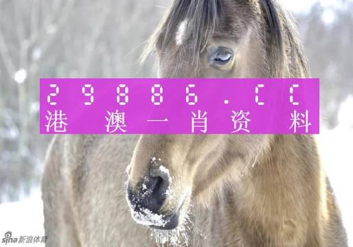 澳門一肖一碼背后的故事，精準(zhǔn)背后的秘密與傳奇，澳門一肖一碼背后的秘密與傳奇故事揭秘