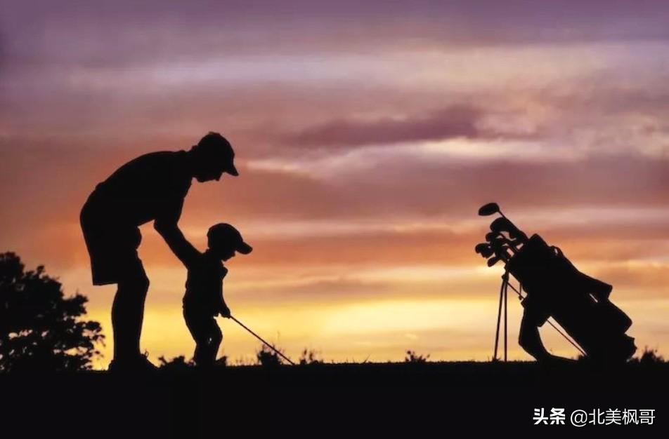 森林高手王中王與神秘生肖——深度解讀背后的故事與秘密，森林高手王中王與神秘生肖，故事背后的深度解讀與秘密探尋