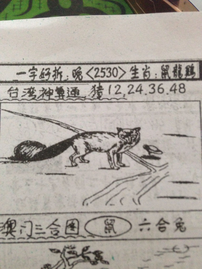 揭秘生肖奧秘，看圖猜一生肖劉伯溫的傳奇故事，揭秘生肖奧秘，劉伯溫傳奇故事中的生肖之謎探索