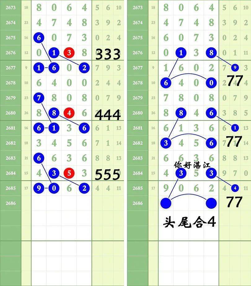 一肖三碼王中王絕密，揭秘背后的秘密與策略洞察，揭秘一肖三碼王中王絕密策略與背后秘密