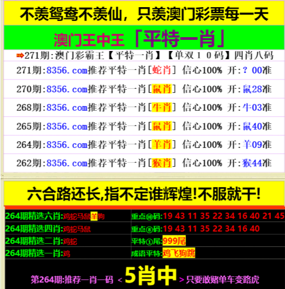 王中王資料一肖中特，深度解析與SEO優(yōu)化策略，王中王資料一肖中特深度解析與SEO優(yōu)化策略指南