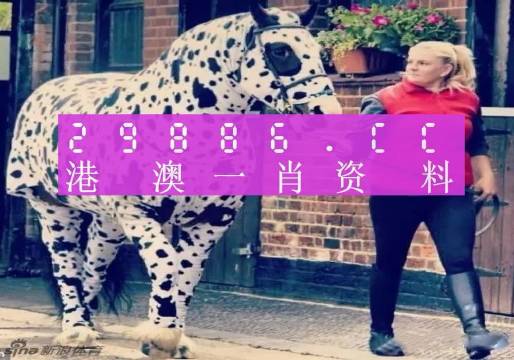 王中王一肖一特一中香港，探索關(guān)鍵詞背后的故事，香港關(guān)鍵詞背后的故事探索，王中王一肖一特一中