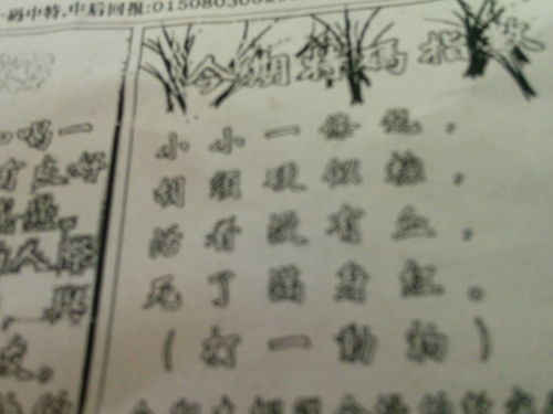揭秘劉伯溫的一肖一特，探尋神秘傳奇背后的真相，劉伯溫傳奇揭秘，揭秘生肖之謎與獨(dú)特特質(zhì)背后的真相