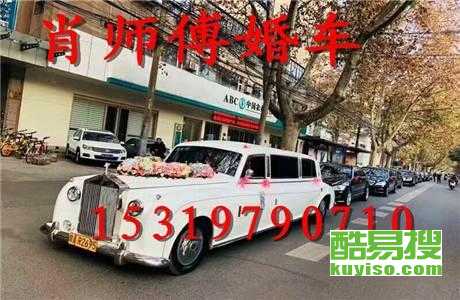 王中王車奪平特一肖免費——深度解析與探索，王中王車奪平特一肖，深度解析與免費探索