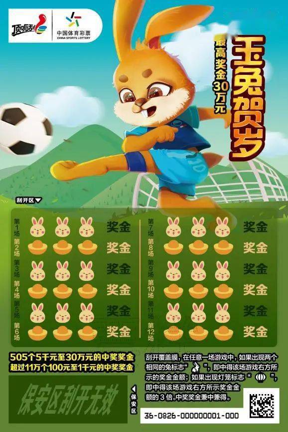王中王一肖中特兔費(fèi)，探索關(guān)鍵詞背后的奧秘，探索關(guān)鍵詞王中王一肖中特兔費(fèi)背后的奧秘