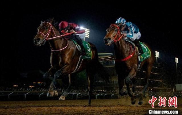 香港王中王一肖中特馬，探索背后的奧秘，香港王中王一肖中特馬背后的奧秘探索