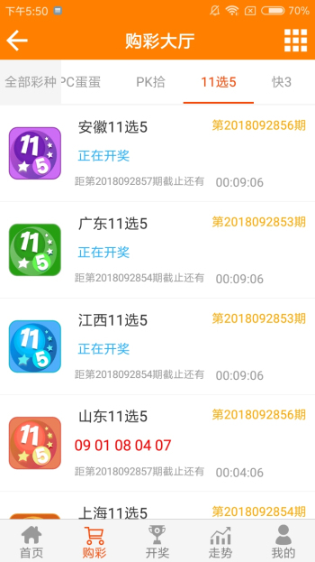 王中王論壇一平特一肖，深度解析與SEO策略，王中王論壇一平特一肖深度解析與SEO策略探討