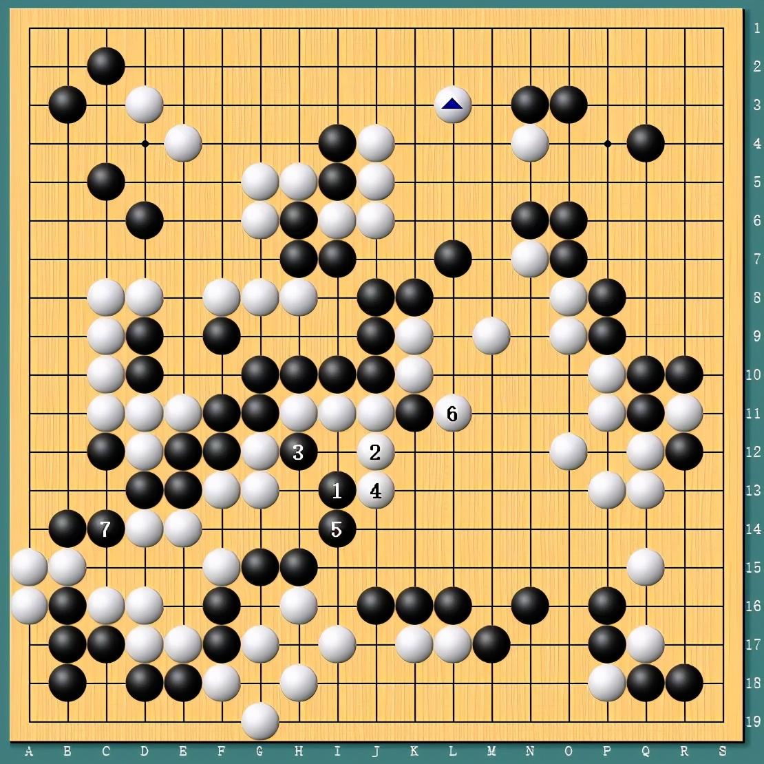 王中王四肖一碼資料論壇，探索與解析，王中王四肖一碼資料論壇，深度探索與解析