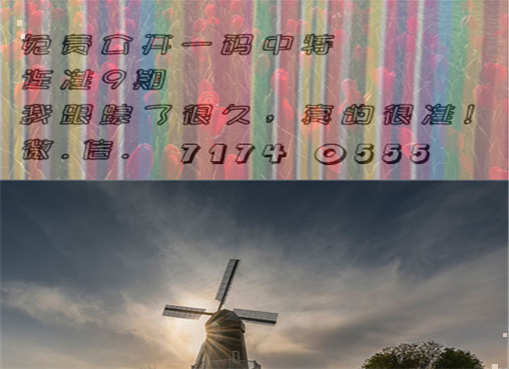 王中王四肖三期必出一期，揭秘彩票背后的秘密策略與技巧，揭秘彩票策略與技巧，王中王四肖三期必出一期之道