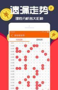 王中王一肖十，深度解析與SEO優(yōu)化策略，王中王一肖十深度解析與SEO優(yōu)化策略探討