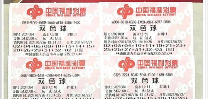 王中王084期指一生肖，解讀背后的秘密與生肖運勢分析，王中王084期生肖揭秘，秘密解讀與運勢展望