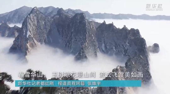 澳門最精準龍門，探索真正的精準之道，澳門最精準龍門，揭秘真正的精準之道