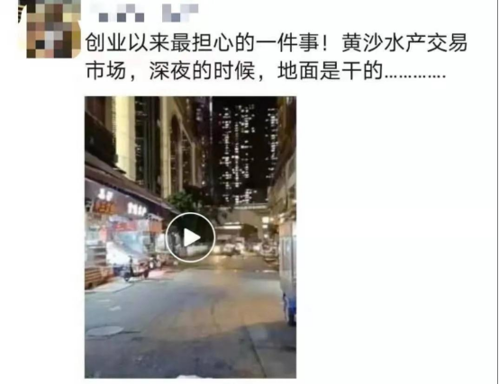 好料盡在王中王——揭秘生肖運(yùn)勢的獨特魅力，揭秘生肖運(yùn)勢獨特魅力，王中王好料大解密