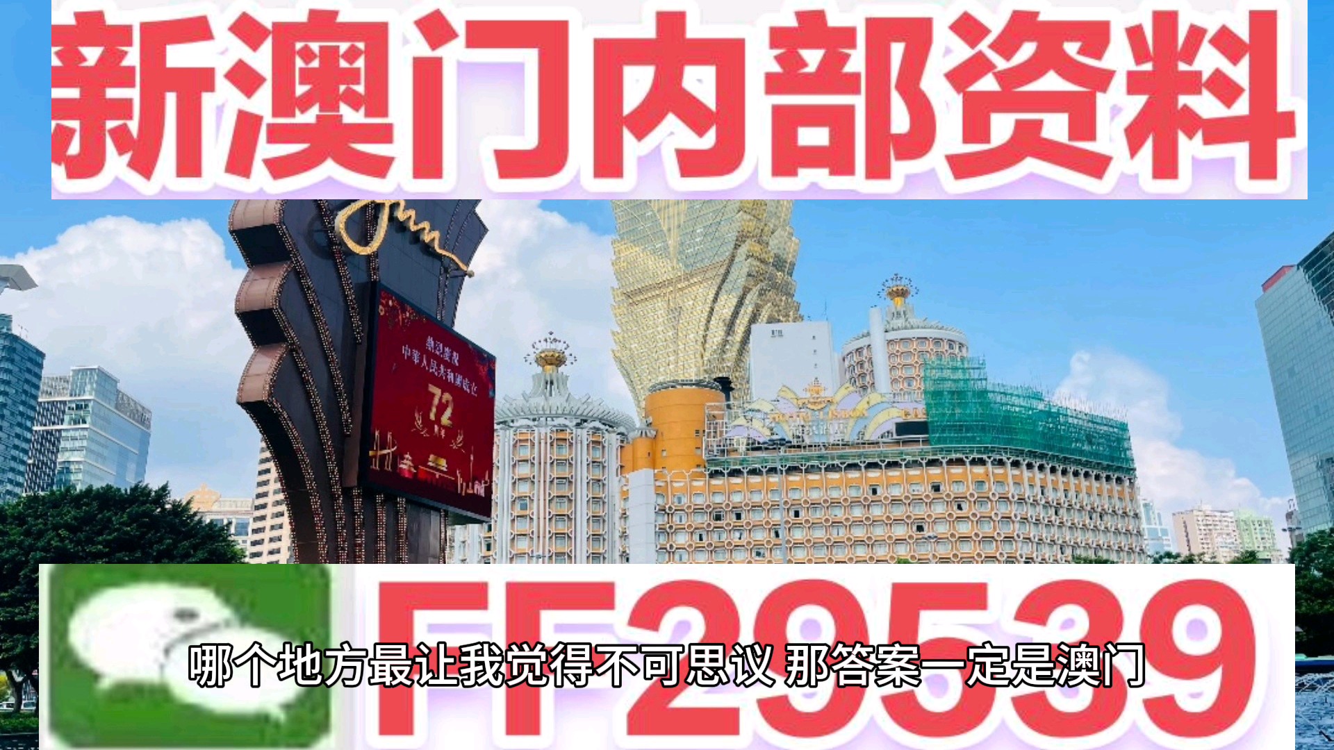 新澳門(mén)今晚平特一肖的預(yù)測(cè)與探索，澳門(mén)今晚生肖預(yù)測(cè)與探索之旅