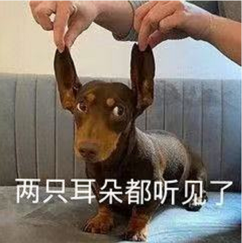 王中王四不象必中一肖，揭秘背后的秘密與策略，揭秘王中王四不象必中一肖背后的秘密與策略之道