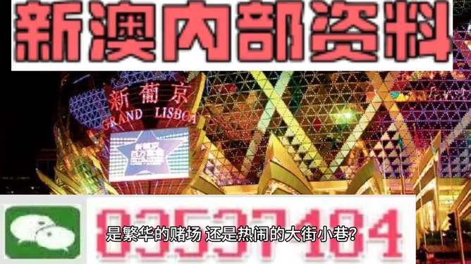 新澳門精準(zhǔn)資料大全與管家婆料，探索SEO的奧秘，探索SEO奧秘，新澳門精準(zhǔn)資料大全與管家婆料的秘密解析