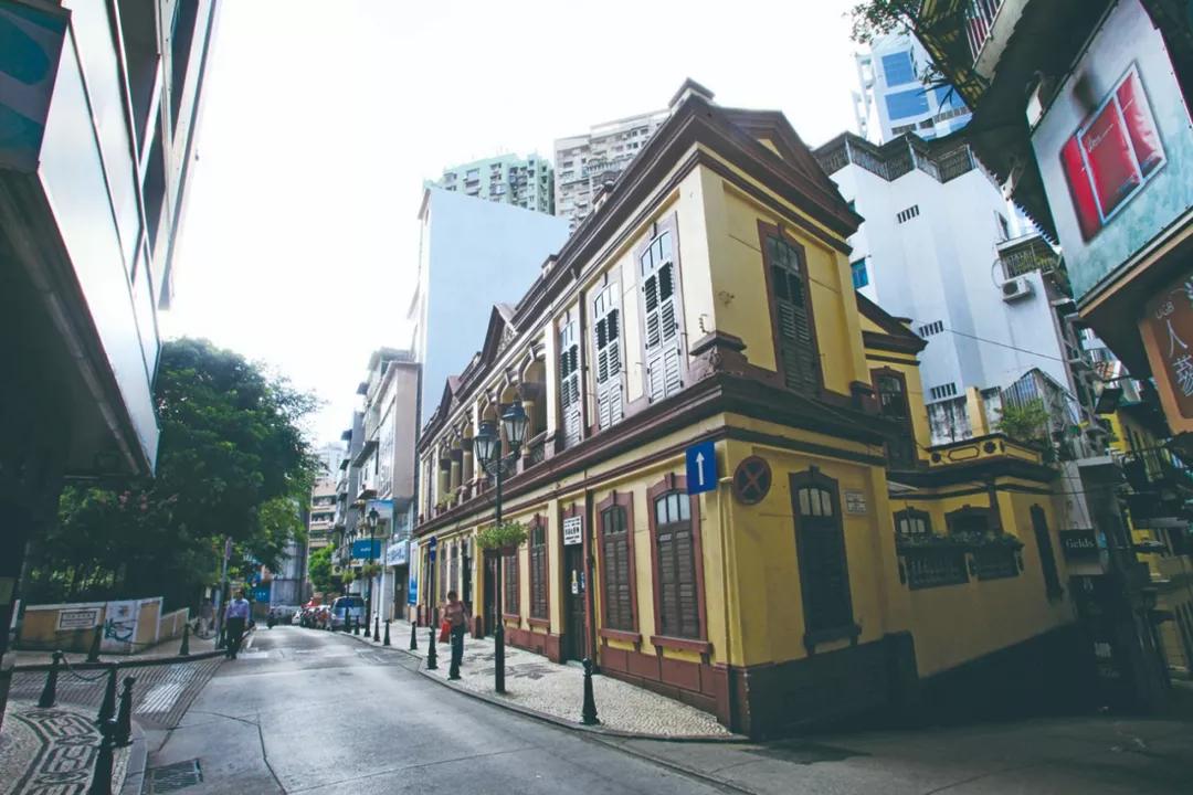 新澳門一肖單像——揭秘生肖彩票的奧秘，揭秘新澳門生肖彩票奧秘，一肖單像探秘