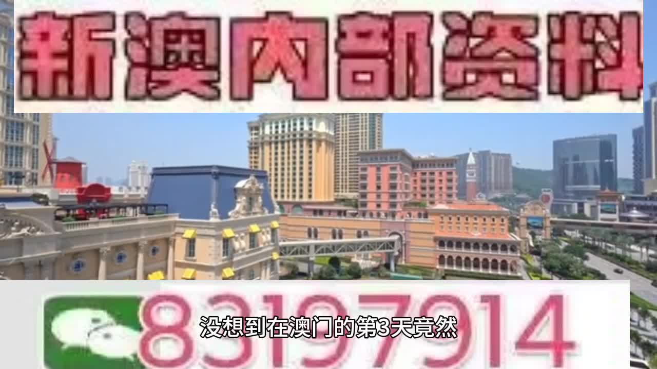新澳門今晚必開一肖一特，探索生肖與特碼的魅力，澳門生肖特碼探索，今晚必開一肖一特之魅力